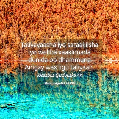 Picture 05 - Maahmaahyadii 8:16 SOM - Taliyayaasha iyo saraakiisha iyo weliba - Bible Verse Picture