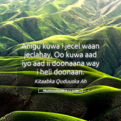 Picture 05 - Maahmaahyadii 8:17 SOM - Anigu kuwa i jecel waan jeclahay, Oo kuwa aad iyo - Bible Verse Picture