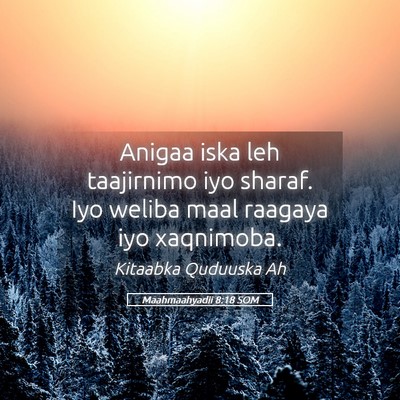Picture 05 - Maahmaahyadii 8:18 SOM - Anigaa iska leh taajirnimo iyo sharaf. Iyo weliba - Bible Verse Picture