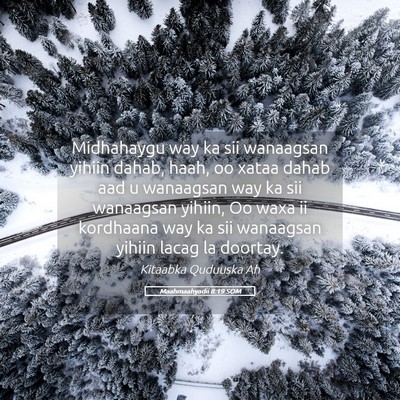 Picture 05 - Maahmaahyadii 8:19 SOM - Midhahaygu way ka sii wanaagsan yihiin dahab, - Bible Verse Picture