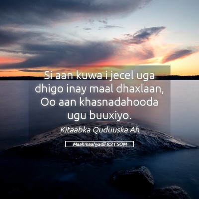 Picture 05 - Maahmaahyadii 8:21 SOM - Si aan kuwa i jecel uga dhigo inay maal dhaxlaan, - Bible Verse Picture