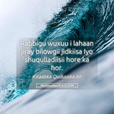 Picture 05 - Maahmaahyadii 8:22 SOM - Rabbigu wuxuu i lahaan jiray bilowgii jidkiisa - Bible Verse Picture