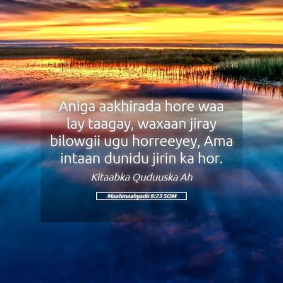 Picture 05 - Maahmaahyadii 8:23 SOM - Aniga aakhirada hore waa lay taagay, waxaan jiray - Bible Verse Picture
