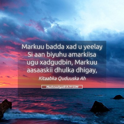 Picture 05 - Maahmaahyadii 8:29 SOM - Markuu badda xad u yeelay Si aan biyuhu amarkiisa - Bible Verse Picture