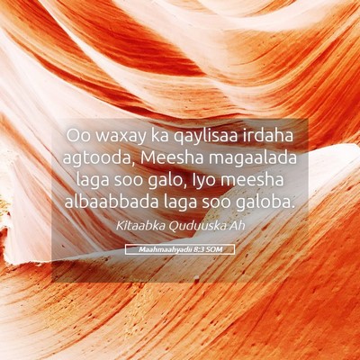 Picture 05 - Maahmaahyadii 8:3 SOM - Oo waxay ka qaylisaa irdaha agtooda, Meesha - Bible Verse Picture