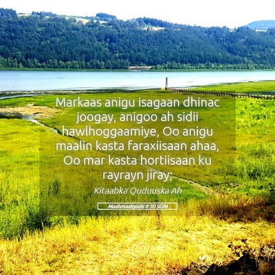Picture 05 - Maahmaahyadii 8:30 SOM - Markaas anigu isagaan dhinac joogay, anigoo ah - Bible Verse Picture