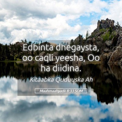 Picture 05 - Maahmaahyadii 8:33 SOM - Edbinta dhegaysta, oo caqli yeesha, Oo ha - Bible Verse Picture
