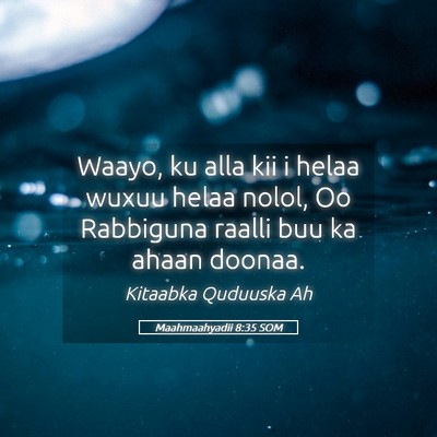 Picture 05 - Maahmaahyadii 8:35 SOM - Waayo, ku alla kii i helaa wuxuu helaa nolol, Oo - Bible Verse Picture