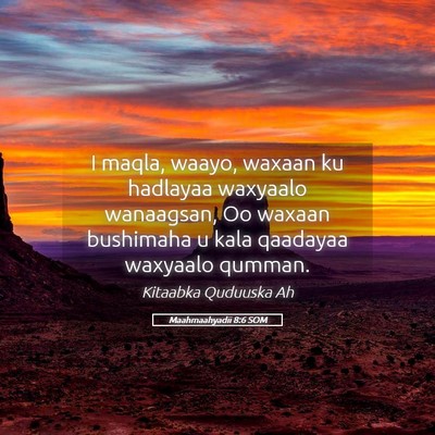 Picture 05 - Maahmaahyadii 8:6 SOM - I maqla, waayo, waxaan ku hadlayaa waxyaalo - Bible Verse Picture