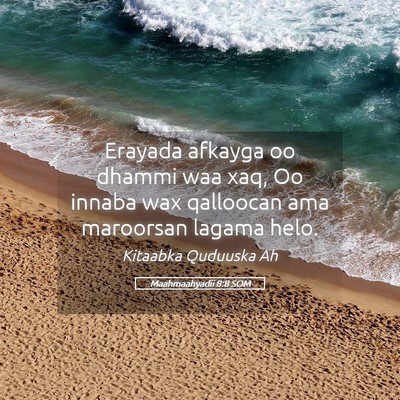 Picture 05 - Maahmaahyadii 8:8 SOM - Erayada afkayga oo dhammi waa xaq, Oo innaba wax - Bible Verse Picture