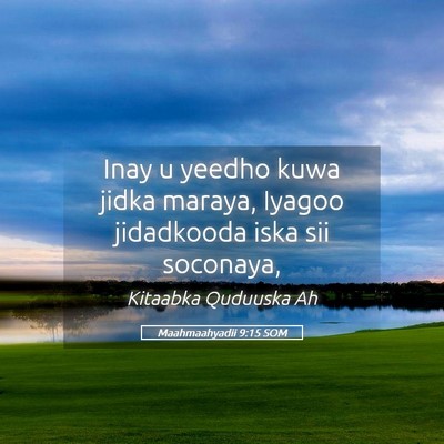 Picture 05 - Maahmaahyadii 9:15 SOM - Inay u yeedho kuwa jidka maraya, Iyagoo - Bible Verse Picture