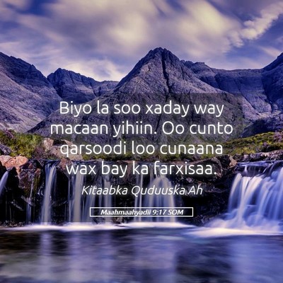 Picture 05 - Maahmaahyadii 9:17 SOM - Biyo la soo xaday way macaan yihiin. Oo cunto - Bible Verse Picture