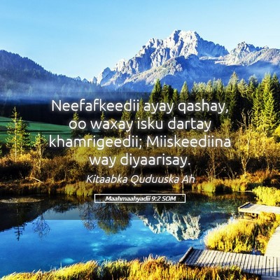 Picture 05 - Maahmaahyadii 9:2 SOM - Neefafkeedii ayay qashay, oo waxay isku dartay - Bible Verse Picture