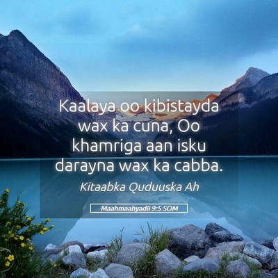 Picture 05 - Maahmaahyadii 9:5 SOM - Kaalaya oo kibistayda wax ka cuna, Oo khamriga - Bible Verse Picture