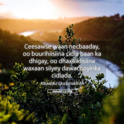 Picture 05 - Malaakii 1:3 SOM - Ceesawse waan necbaaday, oo buurihiisiina cidla - Bible Verse Picture