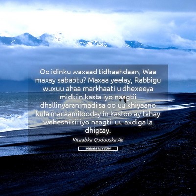 Picture 05 - Malaakii 2:14 SOM - Oo idinku waxaad tidhaahdaan, Waa maxay sababtu? - Bible Verse Picture