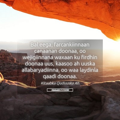 Picture 05 - Malaakii 2:3 SOM - Bal eega, farcankiinnaan canaanan doonaa, oo - Bible Verse Picture