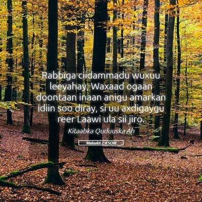 Picture 05 - Malaakii 2:4 SOM - Rabbiga ciidammadu wuxuu leeyahay, Waxaad ogaan - Bible Verse Picture