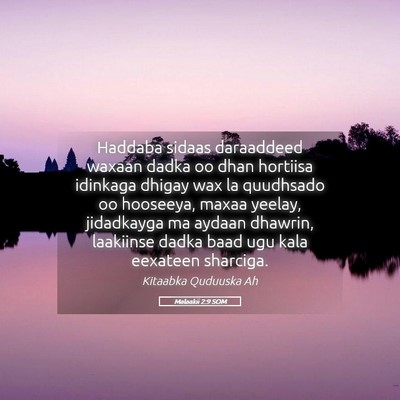 Picture 05 - Malaakii 2:9 SOM - Haddaba sidaas daraaddeed waxaan dadka oo dhan - Bible Verse Picture