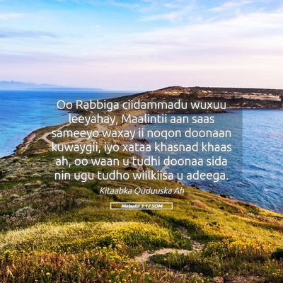 Picture 05 - Malaakii 3:17 SOM - Oo Rabbiga ciidammadu wuxuu leeyahay, Maalintii - Bible Verse Picture