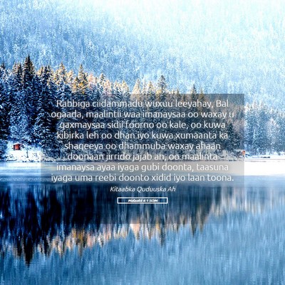 Picture 05 - Malaakii 4:1 SOM - Rabbiga ciidammadu wuxuu leeyahay, Bal ogaada, - Bible Verse Picture