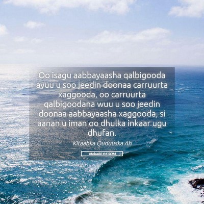 Picture 05 - Malaakii 4:6 SOM - Oo isagu aabbayaasha qalbigooda ayuu u soo jeedin - Bible Verse Picture