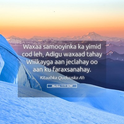 Picture 05 - Markos 1:11 SOM - Waxaa samooyinka ka yimid cod leh, Adigu waxaad - Bible Verse Picture