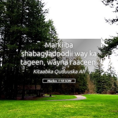 Picture 05 - Markos 1:18 SOM - Markiiba shabagyadoodii way ka tageen, wayna - Bible Verse Picture