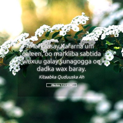 Picture 05 - Markos 1:21 SOM - Markaasay Kafarna'um galeen, oo markiiba sabtida - Bible Verse Picture