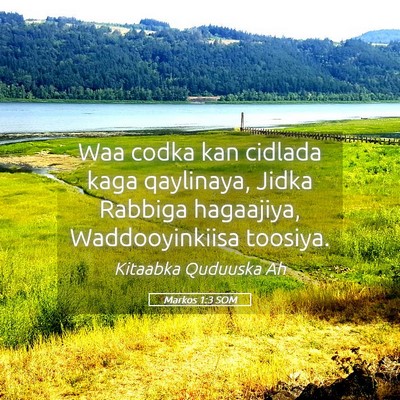 Picture 05 - Markos 1:3 SOM - Waa codka kan cidlada kaga qaylinaya, Jidka - Bible Verse Picture