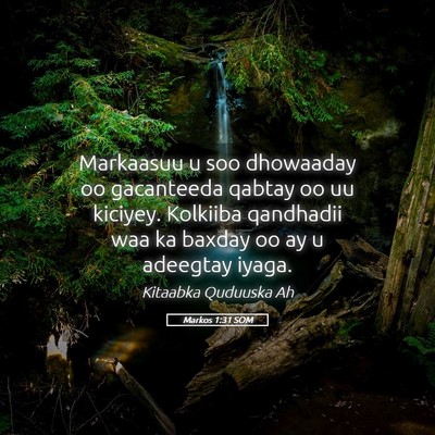 Picture 05 - Markos 1:31 SOM - Markaasuu u soo dhowaaday oo gacanteeda qabtay oo - Bible Verse Picture