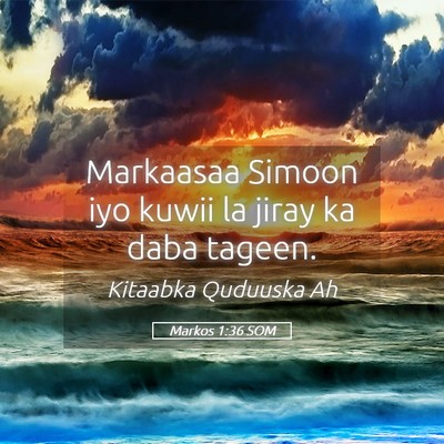 Picture 05 - Markos 1:36 SOM - Markaasaa Simoon iyo kuwii la jiray ka daba - Bible Verse Picture