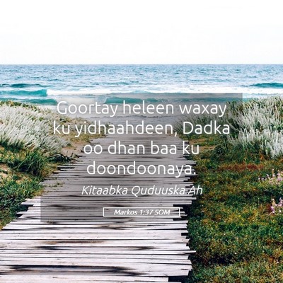 Picture 05 - Markos 1:37 SOM - Goortay heleen waxay ku yidhaahdeen, Dadka oo - Bible Verse Picture