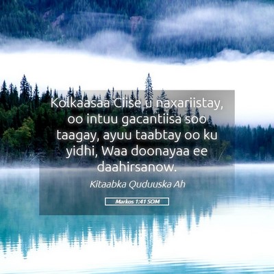Picture 05 - Markos 1:41 SOM - Kolkaasaa Ciise u naxariistay, oo intuu - Bible Verse Picture