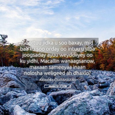 Picture 05 - Markos 10:17 SOM - Goortuu jidka u soo baxay, mid baa ku soo orday - Bible Verse Picture