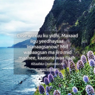 Picture 05 - Markos 10:18 SOM - Ciise wuxuu ku yidhi, Maxaad iigu yeedhaysaa, - Bible Verse Picture