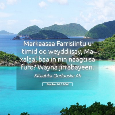 Picture 05 - Markos 10:2 SOM - Markaasaa Farrisiintu u timid oo weyddiisay, Ma - Bible Verse Picture