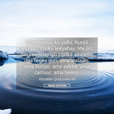 Picture 05 - Markos 10:29 SOM - Ciise wuxuu ku yidhi, Runtii waxaan idinku - Bible Verse Picture