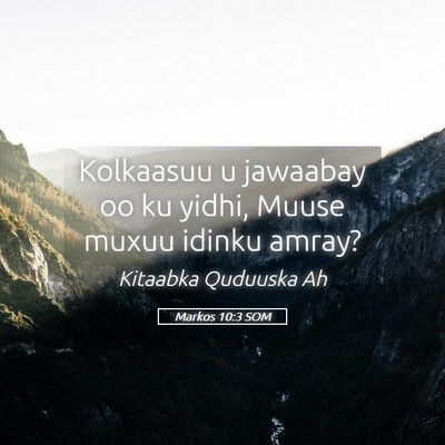 Picture 05 - Markos 10:3 SOM - Kolkaasuu u jawaabay oo ku yidhi, Muuse muxuu - Bible Verse Picture