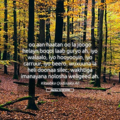 Picture 05 - Markos 10:30 SOM - oo aan haatan oo la joogo helayn boqol laab guryo - Bible Verse Picture