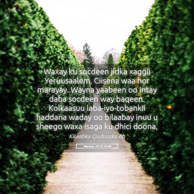Picture 05 - Markos 10:32 SOM - Waxay ku socdeen jidka xaggii Yeruusaalem, - Bible Verse Picture