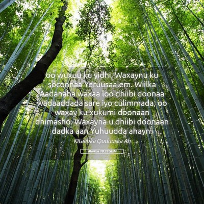 Picture 05 - Markos 10:33 SOM - oo wuxuu ku yidhi, Waxaynu ku soconnaa - Bible Verse Picture
