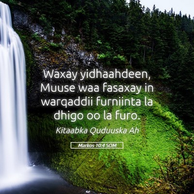 Picture 05 - Markos 10:4 SOM - Waxay yidhaahdeen, Muuse waa fasaxay in warqaddii - Bible Verse Picture