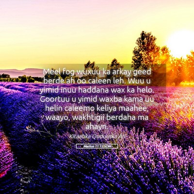 Picture 05 - Markos 11:13 SOM - Meel fog wuxuu ka arkay geed berde ah oo caleen - Bible Verse Picture
