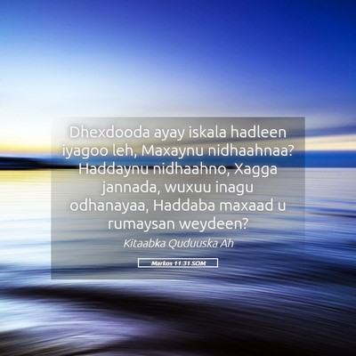 Picture 05 - Markos 11:31 SOM - Dhexdooda ayay iskala hadleen iyagoo leh, Maxaynu - Bible Verse Picture