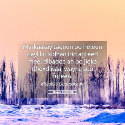 Picture 05 - Markos 11:4 SOM - Markaasay tageen oo heleen qayl ku xidhan irid - Bible Verse Picture