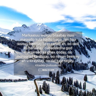 Picture 05 - Markos 12:1 SOM - Markaasuu wuxuu bilaabay inuu masaallo kula hadlo - Bible Verse Picture