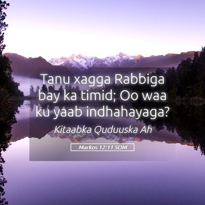 Picture 05 - Markos 12:11 SOM - Tanu xagga Rabbiga bay ka timid; Oo waa ku yaab - Bible Verse Picture