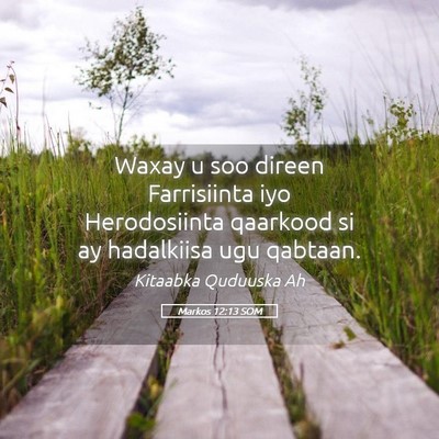 Picture 05 - Markos 12:13 SOM - Waxay u soo direen Farrisiinta iyo Herodosiinta - Bible Verse Picture