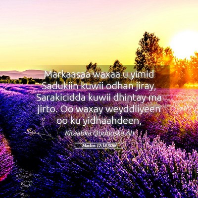 Picture 05 - Markos 12:18 SOM - Markaasaa waxaa u yimid Sadukiin kuwii odhan - Bible Verse Picture